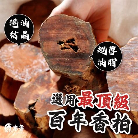 龍柏避邪|龍柏風水大解密：招財納福、化煞辟邪的風水吉祥樹